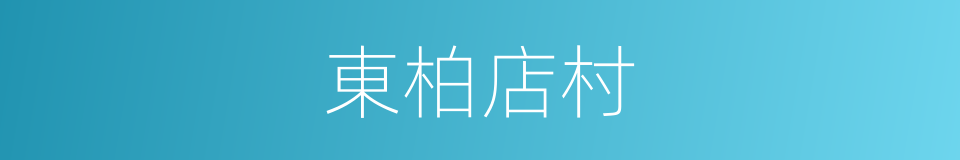東柏店村的同義詞