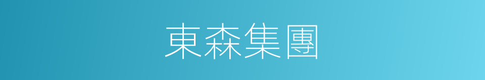 東森集團的同義詞