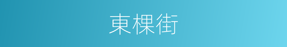 東棵街的同義詞