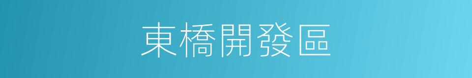 東橋開發區的同義詞