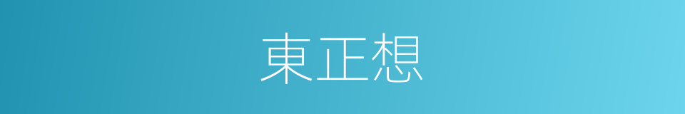 東正想的同義詞