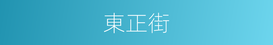 東正街的同義詞