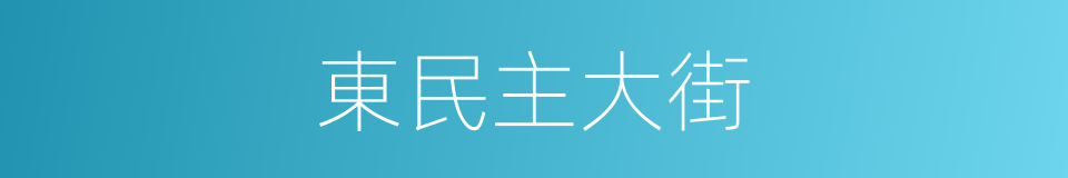 東民主大街的同義詞