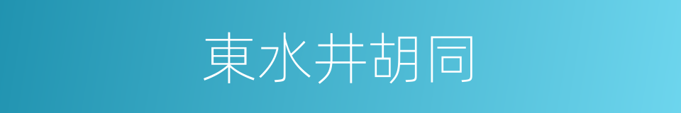 東水井胡同的同義詞