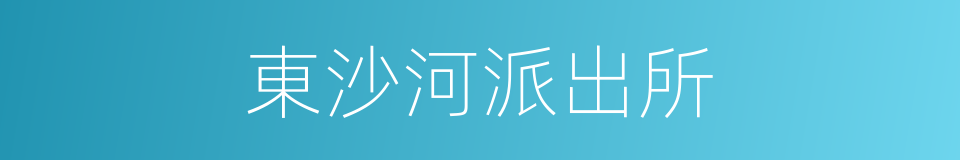 東沙河派出所的同義詞