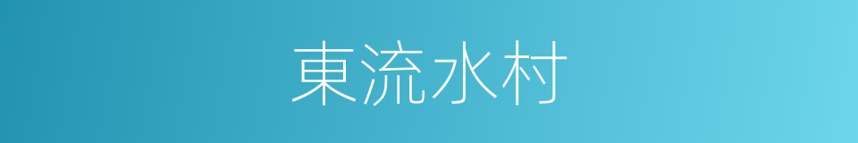 東流水村的同義詞