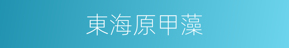 東海原甲藻的同義詞