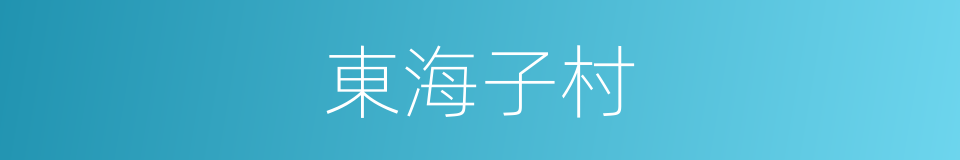東海子村的同義詞