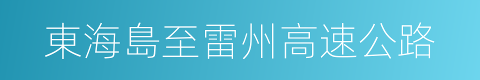 東海島至雷州高速公路的同義詞