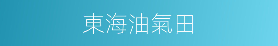 東海油氣田的同義詞