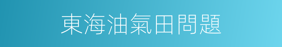 東海油氣田問題的同義詞