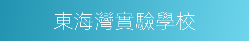 東海灣實驗學校的同義詞