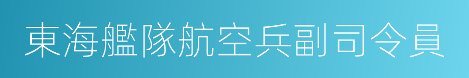 東海艦隊航空兵副司令員的同義詞