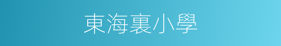 東海裏小學的同義詞