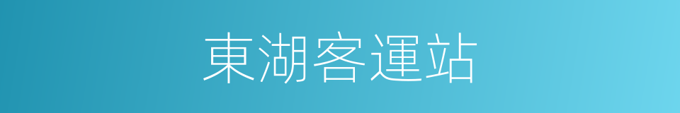 東湖客運站的同義詞