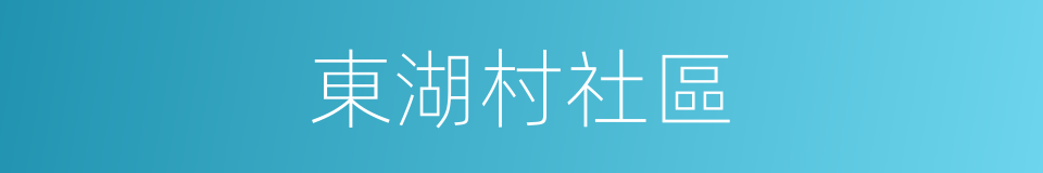 東湖村社區的同義詞