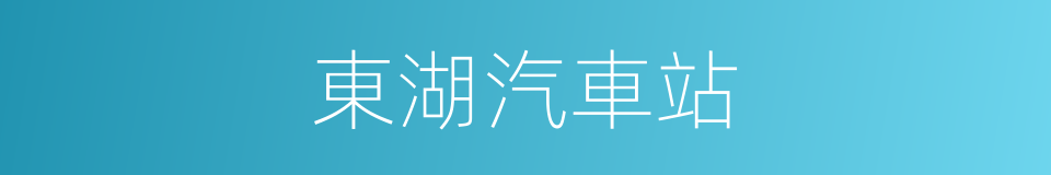 東湖汽車站的同義詞