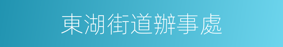 東湖街道辦事處的同義詞