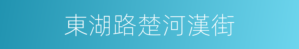 東湖路楚河漢街的同義詞