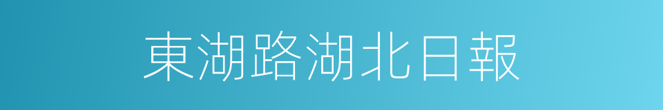 東湖路湖北日報的同義詞