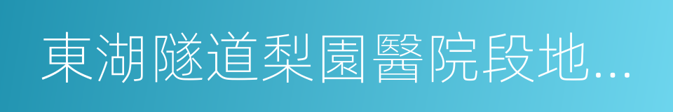 東湖隧道梨園醫院段地面層輔道的同義詞