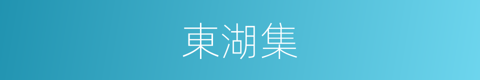 東湖集的同義詞