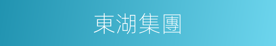 東湖集團的同義詞