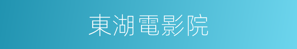 東湖電影院的同義詞