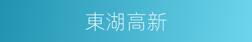 東湖高新的同義詞