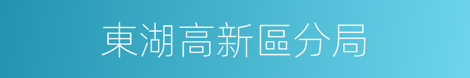 東湖高新區分局的同義詞
