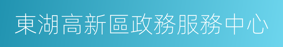 東湖高新區政務服務中心的同義詞