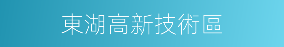 東湖高新技術區的同義詞