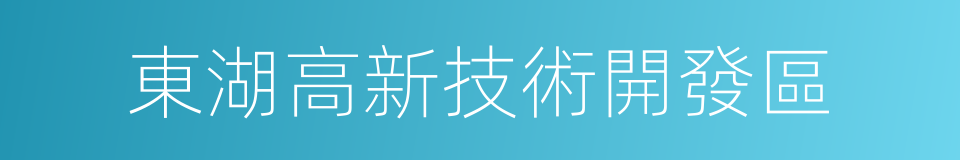 東湖高新技術開發區的同義詞