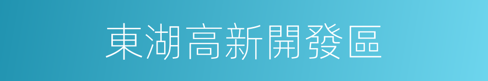 東湖高新開發區的同義詞