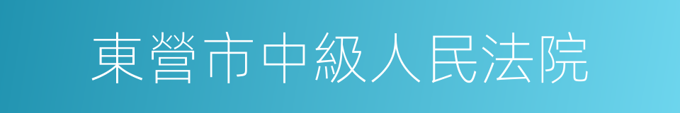 東營市中級人民法院的同義詞