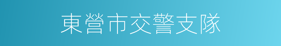 東營市交警支隊的同義詞