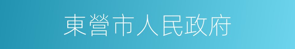 東營市人民政府的同義詞