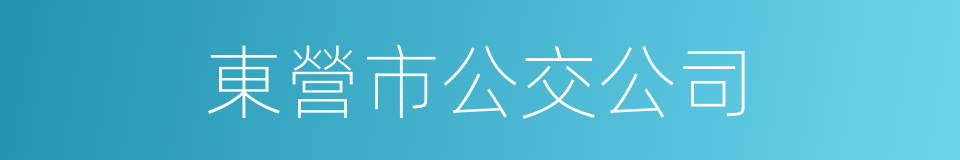 東營市公交公司的同義詞