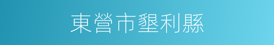 東營市墾利縣的同義詞
