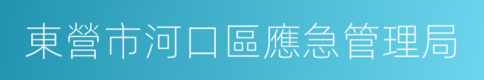 東營市河口區應急管理局的同義詞