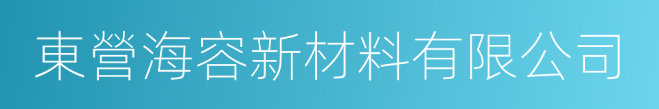 東營海容新材料有限公司的同義詞