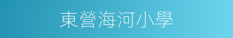 東營海河小學的同義詞