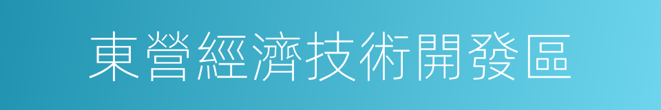 東營經濟技術開發區的同義詞