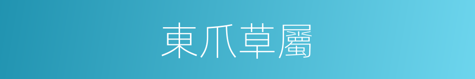 東爪草屬的同義詞