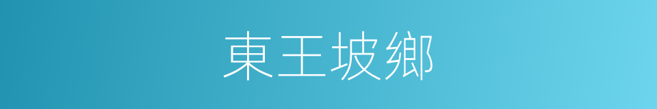 東王坡鄉的同義詞