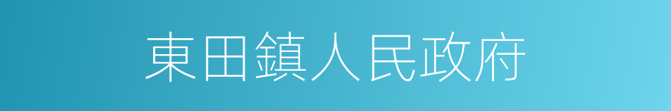 東田鎮人民政府的同義詞