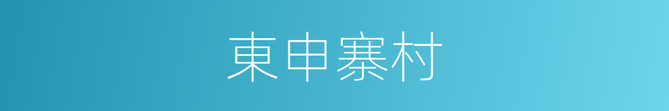 東申寨村的同義詞