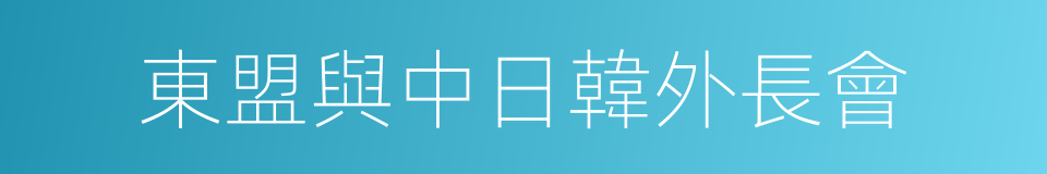 東盟與中日韓外長會的同義詞