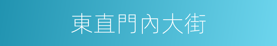 東直門內大街的同義詞