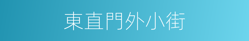 東直門外小街的同義詞